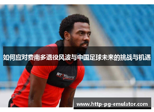 如何应对费南多退役风波与中国足球未来的挑战与机遇 如何应对费南多退役风波与中国足球未来的挑战与机遇