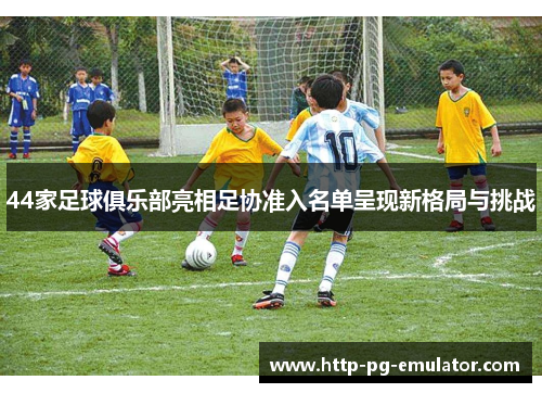 44家足球俱乐部亮相足协准入名单呈现新格局与挑战 44家足球俱乐部亮相足协准入名单呈现新格局与挑战