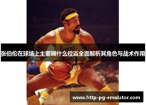 张伯伦在球场上主要踢什么位置全面解析其角色与战术作用 张伯伦在球场上主要踢什么位置全面解析其角色与战术作用