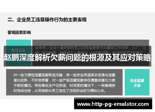 赵鹏深度解析欠薪问题的根源及其应对策略 赵鹏深度解析欠薪问题的根源及其应对策略
