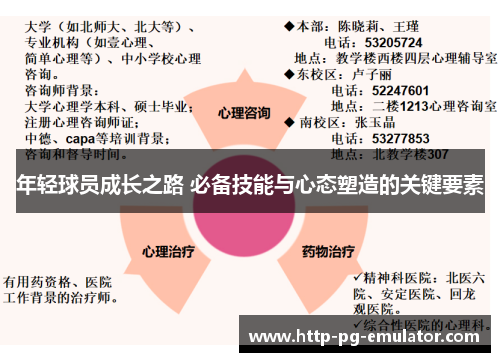 年轻球员成长之路 必备技能与心态塑造的关键要素