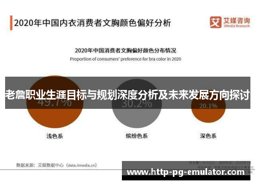 老詹职业生涯目标与规划深度分析及未来发展方向探讨
