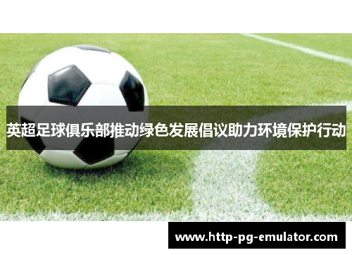 英超足球俱乐部推动绿色发展倡议助力环境保护行动 英超足球俱乐部推动绿色发展倡议助力环境保护行动