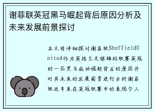 谢菲联英冠黑马崛起背后原因分析及未来发展前景探讨