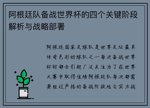 阿根廷队备战世界杯的四个关键阶段解析与战略部署 阿根廷队备战世界杯的四个关键阶段解析与战略部署